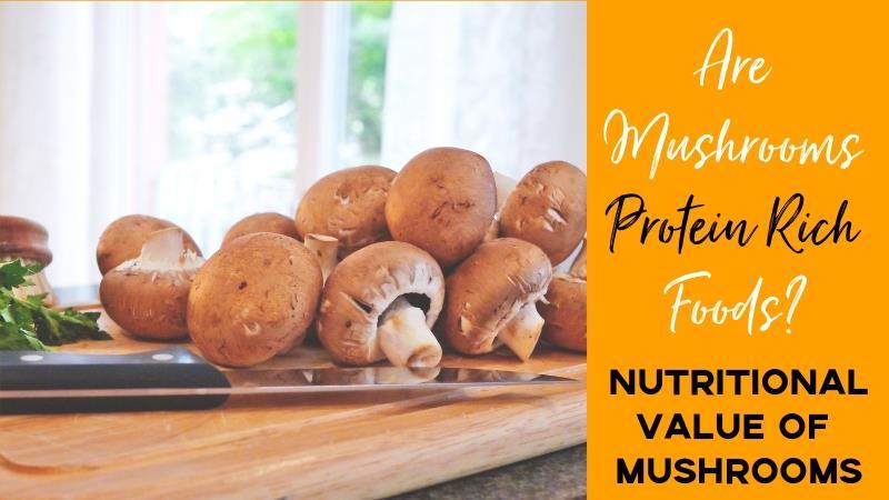 are mushrooms protein rich foods